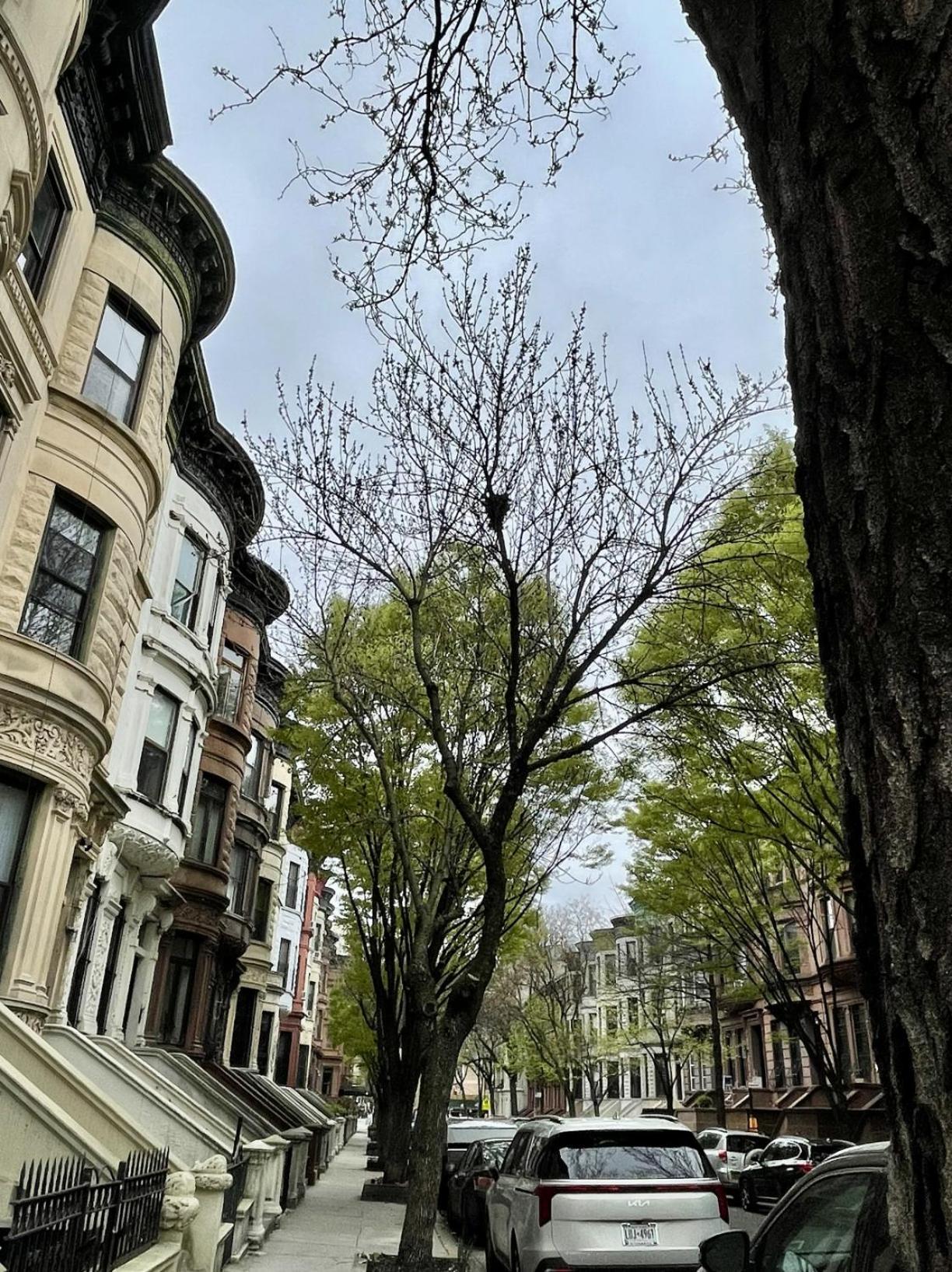 Nyc Townhouse Apartment New York Buitenkant foto